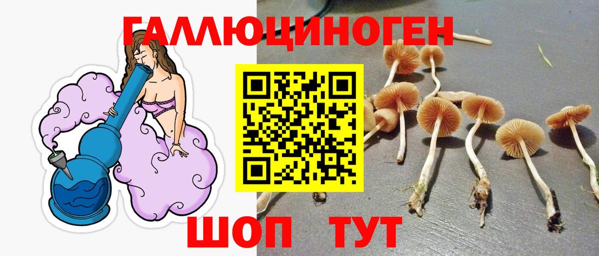 Галлюциногенные грибы прущие грибы  Галлюциногенные грибы ЛСД  Мирный  Вход с VPN 